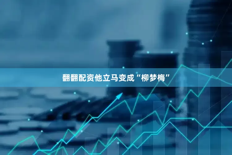 翻翻配资他立马变成“柳梦梅”