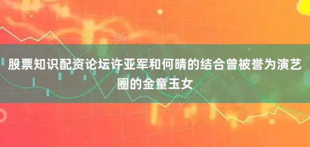 股票知识配资论坛许亚军和何晴的结合曾被誉为演艺圈的金童玉女