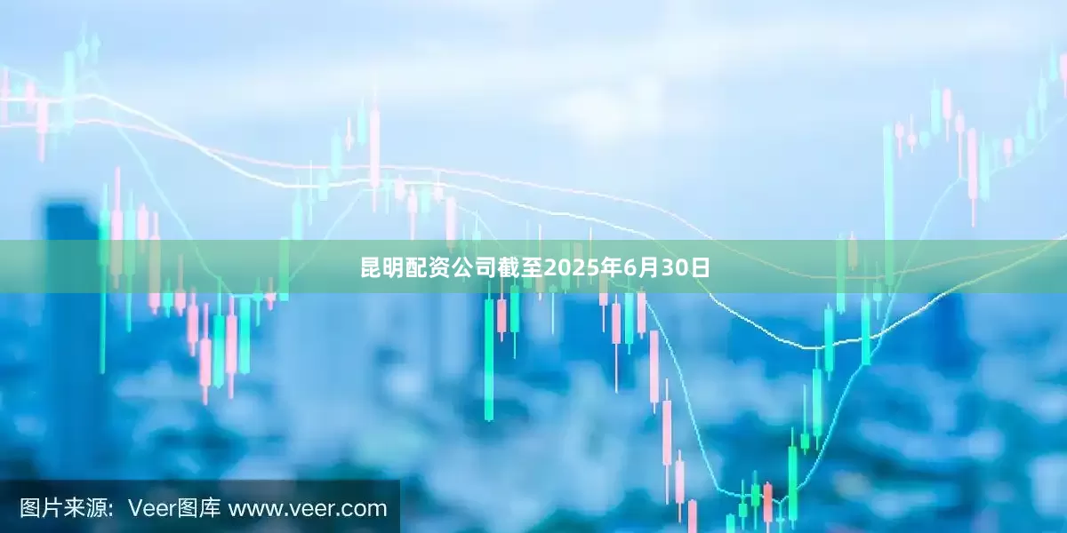 昆明配资公司截至2025年6月30日